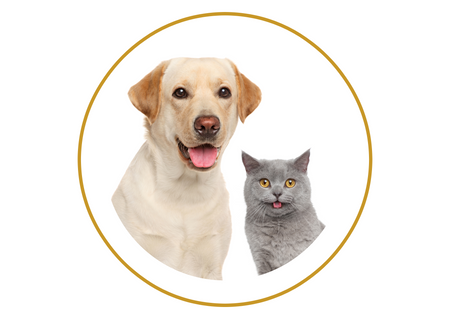 Pet
